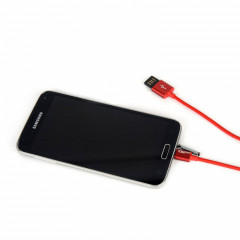 add_8805341 150368_20191203_701687.jpg